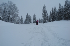 20150208_145843_DSCN3467