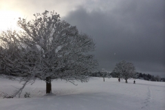 20150208_153342