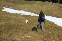 20150412_114252
