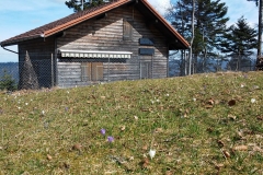 20150412_114846