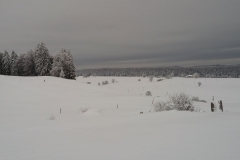 20160220_110912