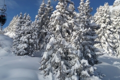 20170115_103121