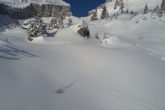 20170115_103412