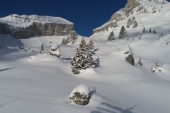 20170115_103421
