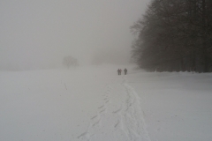 20170205_102829