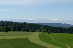 20170608_101724