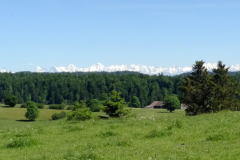 20170608_155151
