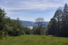 20170525_163851_HDR