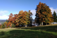 IMG_20171001_102824