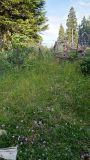 IMG_20190716_191632