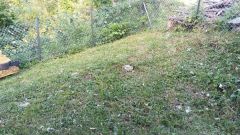 IMG_20190716_200912